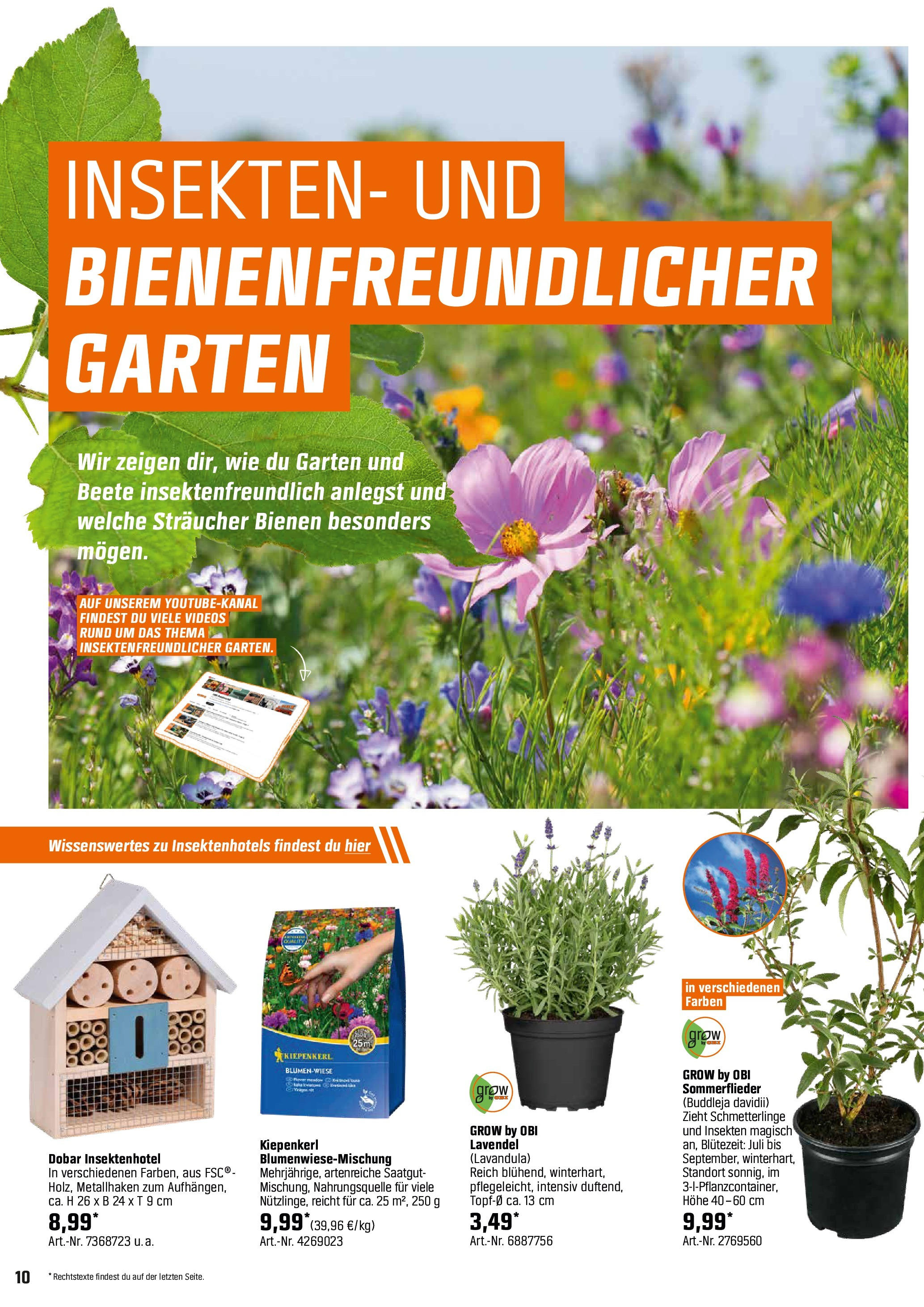 Obi - Bring Farbe in den Garten! (ab 05.05.2025) zum Blättern | Seite: 10 | Produkte: Lavendel