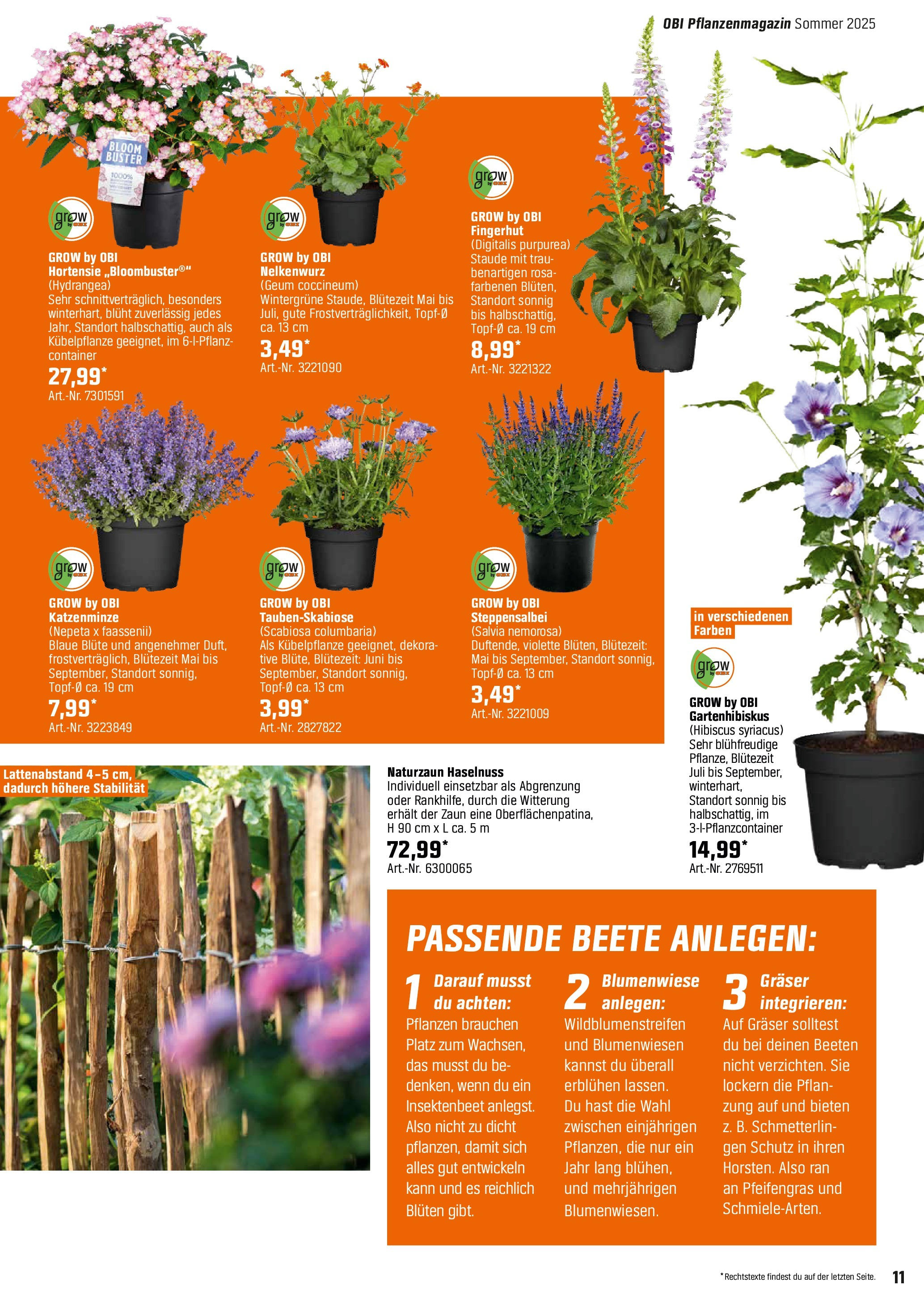 Obi - Bring Farbe in den Garten! (ab 05.05.2025) zum Blättern | Seite: 11 | Produkte: Hortensie