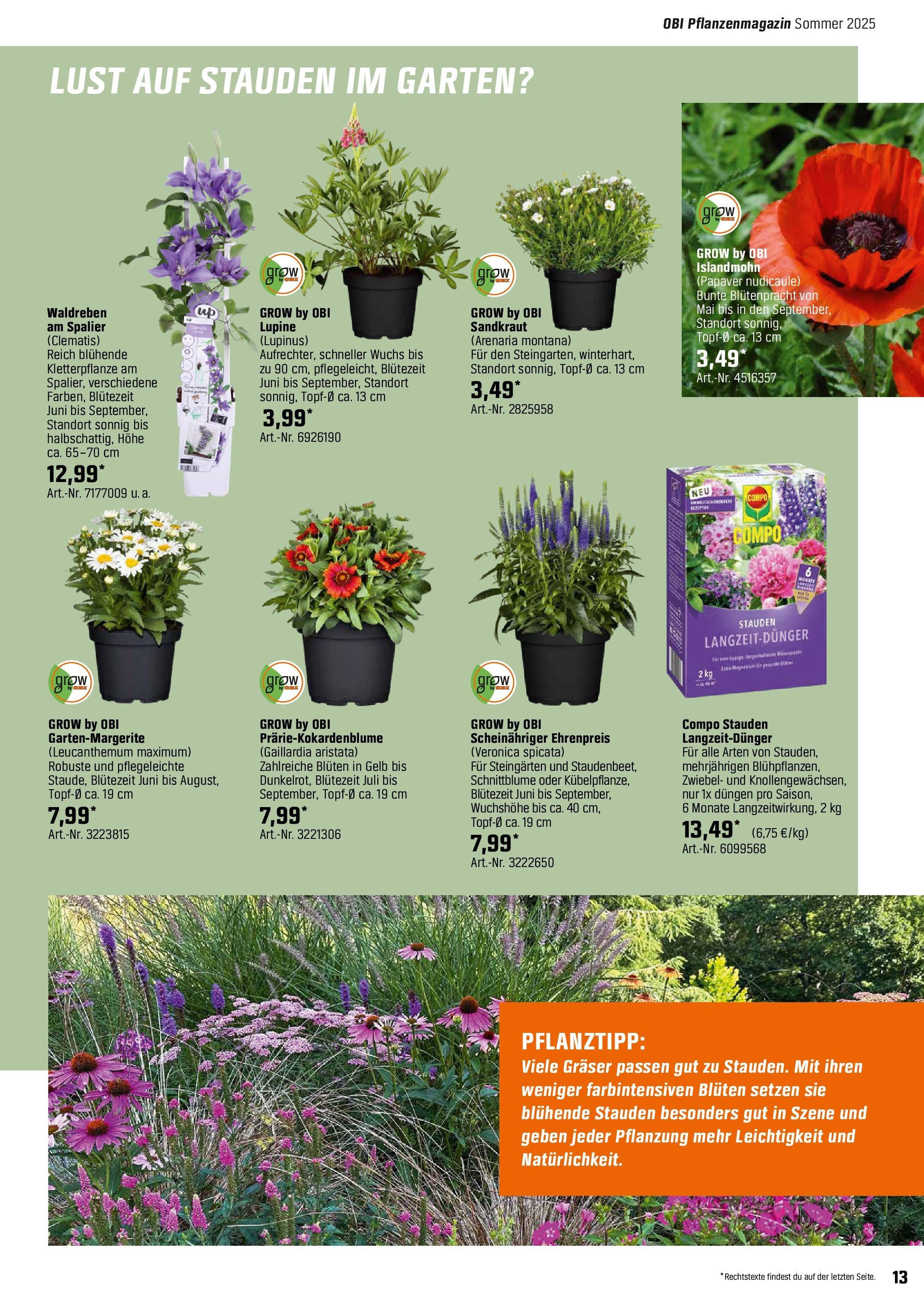 Obi - Bring Farbe in den Garten! (ab 05.05.2025) zum Blättern | Seite: 13