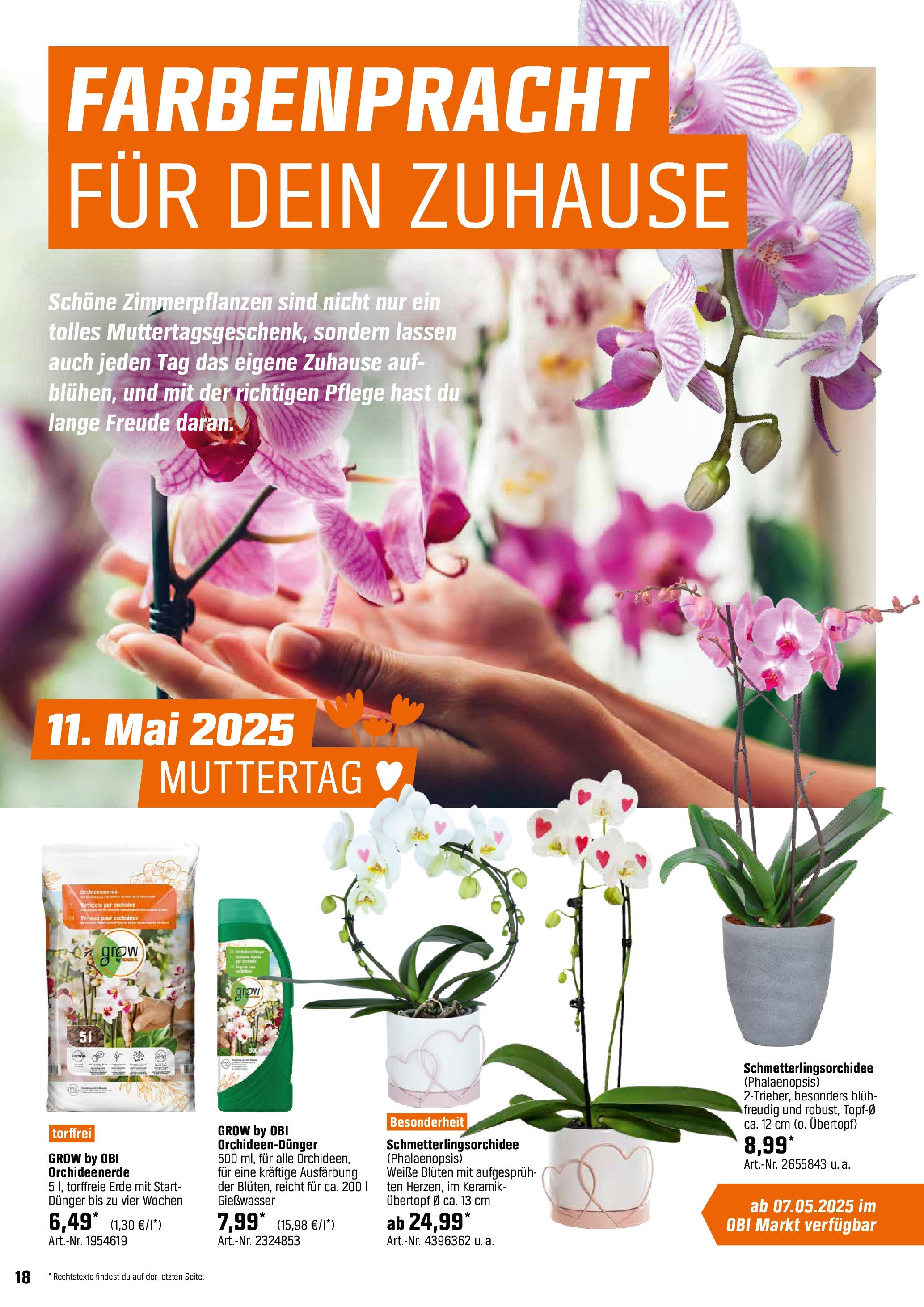 Obi - Bring Farbe in den Garten! (ab 05.05.2025) zum Blättern | Seite: 18 | Produkte: Orchidee