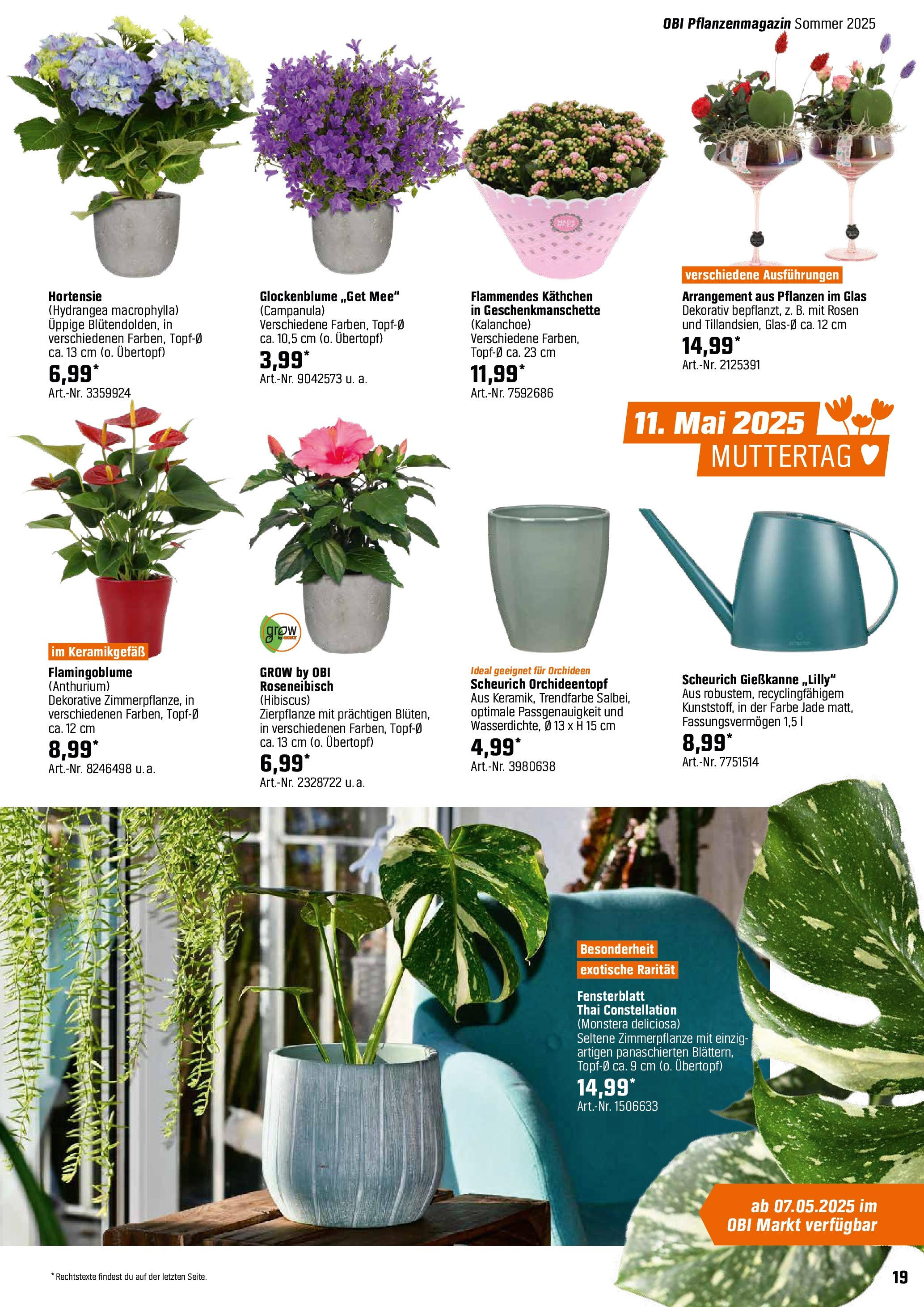 Obi - Bring Farbe in den Garten! (ab 05.05.2025) zum Blättern | Seite: 19 | Produkte: Hortensie