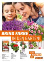 OBI OBI: Bring Farbe in den Garten - bis 25.05.2025