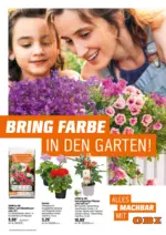 OBI OBI: Bring Farbe in den Garten - bis 25.05.2025