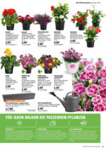 OBI OBI: Bring Farbe in den Garten - bis 25.05.2025