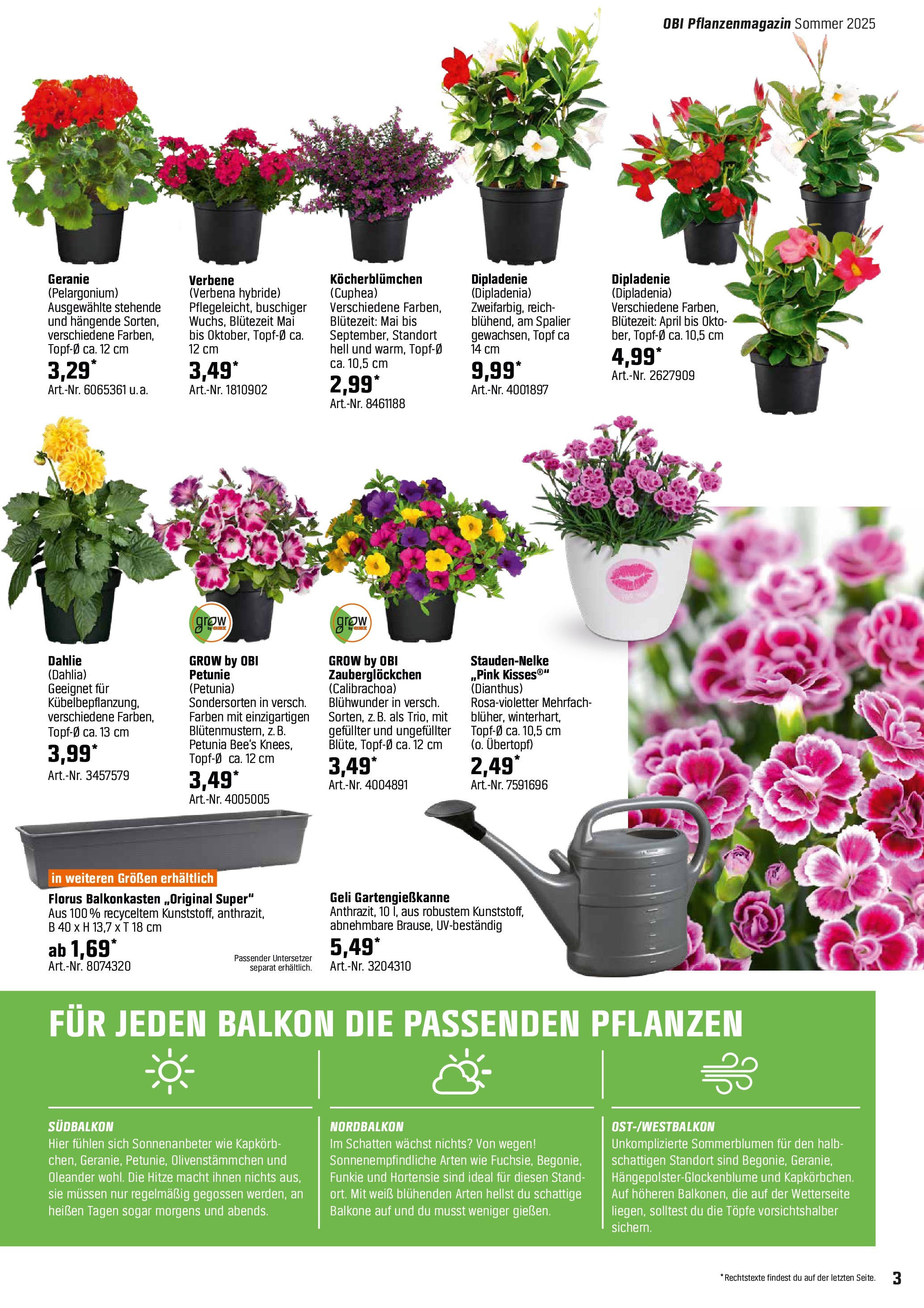 OBI Bring Farbe in den Garten! von 04.05.2025 - Aktuelle Angebote | Seite: 3