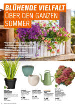 OBI OBI: Bring Farbe in den Garten - bis 25.05.2025