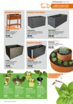OBI OBI: Bring Farbe in den Garten - bis 25.05.2025