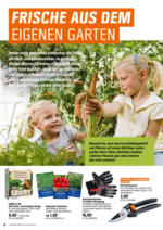 OBI OBI: Bring Farbe in den Garten - bis 25.05.2025