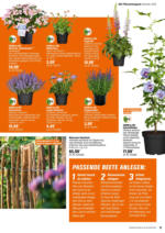 OBI OBI: Bring Farbe in den Garten - bis 25.05.2025