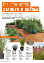 OBI OBI: Bring Farbe in den Garten - bis 25.05.2025