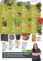 OBI OBI: Bring Farbe in den Garten - bis 25.05.2025