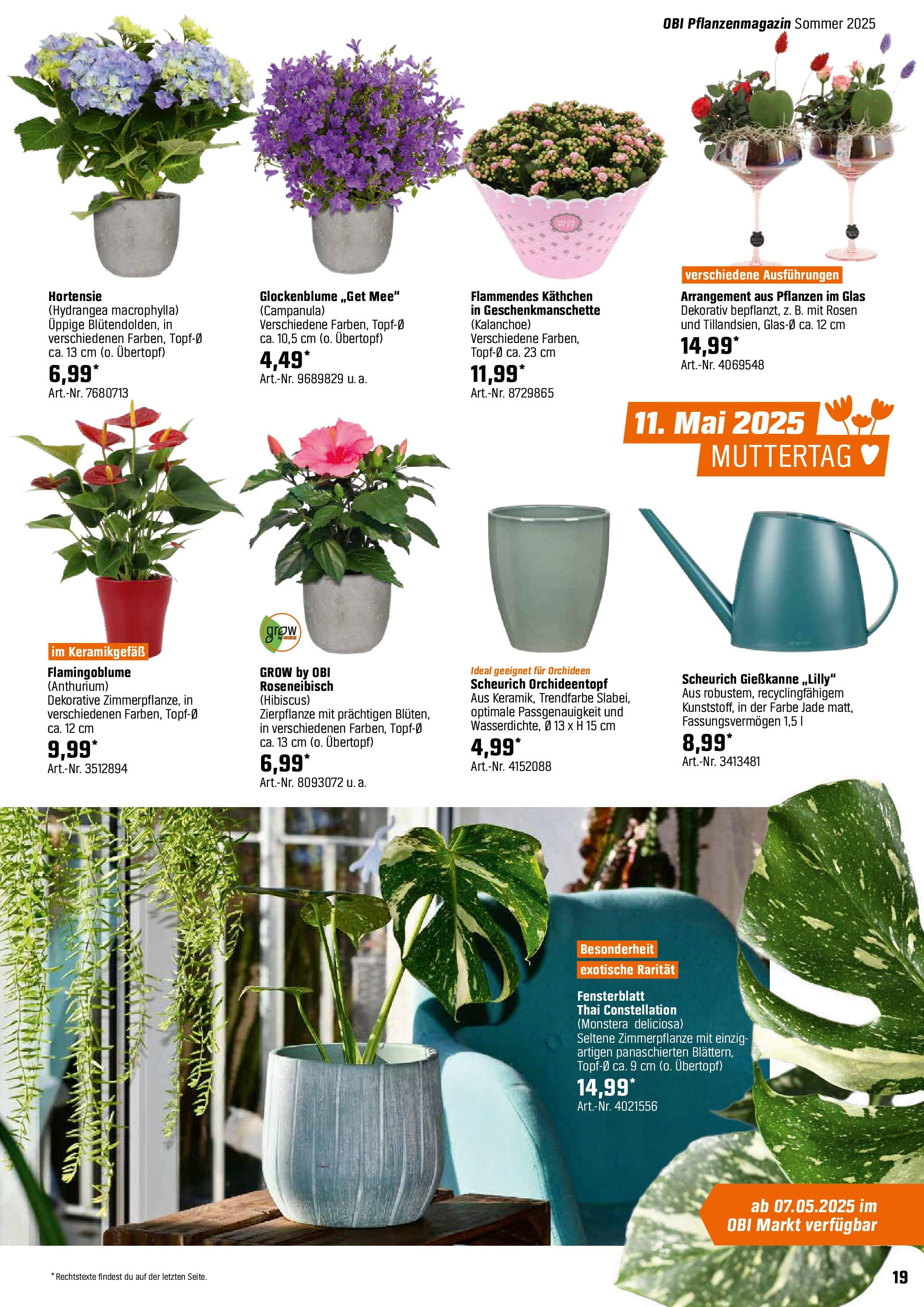 OBI Bring Farbe in den Garten! von 04.05.2025 - Aktuelle Angebote | Seite: 19
