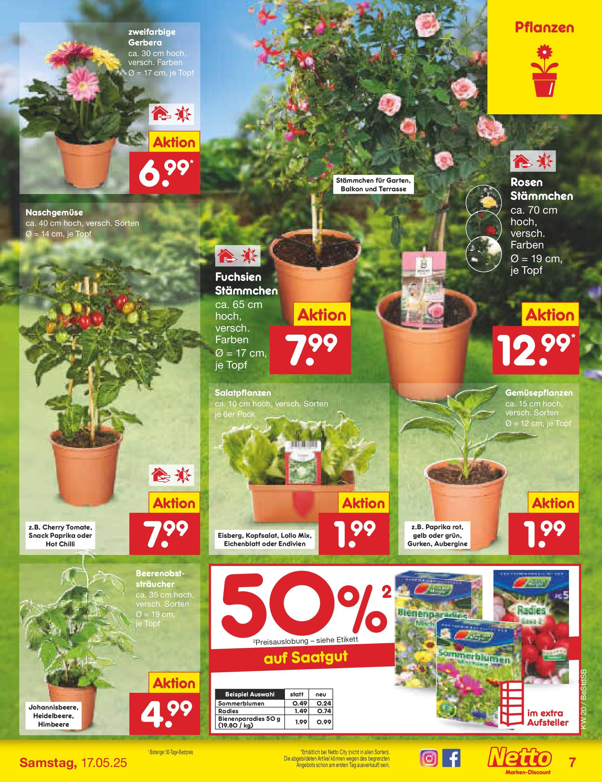 Netto Marken-Discount - Netto: Wochenangebote (ab 12.05.2025) » Angebote | Seite: 9 | Produkte: Paprika, Aubergine, Himbeere Netto Marken-Discount - Netto: Wochenangebote (ab 12.05.2025) » Angebote | Seite: 9 | Produkte: Paprika, Aubergine, Himbeere