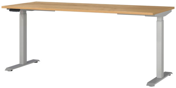 E-Serie E-Schreibtisch eSystem