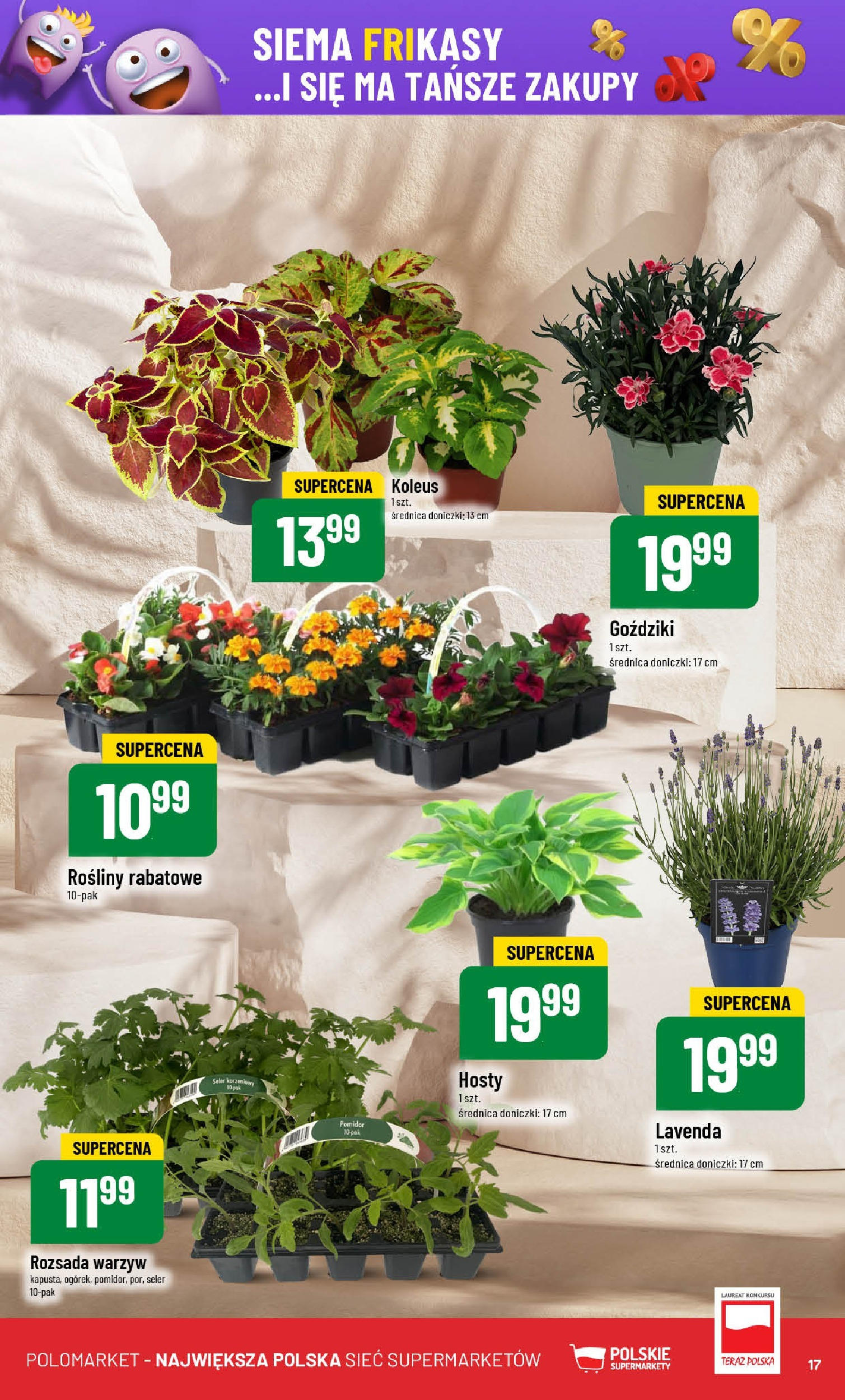 POLOmarket gazetka od jutra (07.05.2025) | Nowa PDF | Strona: 17 | Produkty: Go藕dziki, Rosliny, Doniczki POLOmarket gazetka od jutra (07.05.2025) - Nowa PDF | Strona: 17 | Produkty: Go藕dziki, Rosliny, Doniczki