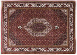 OCI Orient Teppich CENTAURI BIDJAR