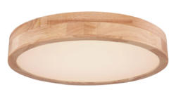 Globo Lighting Deckenleuchte RAINER