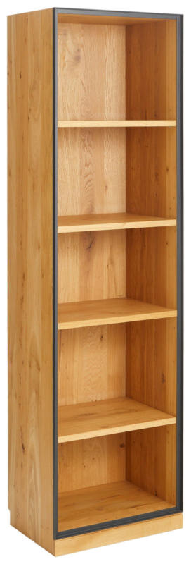 Linea Natura Regal hoch/schmal ADMIRAL