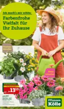 Pflanzen-Kölle Gartencenter Pflanzen-Kölle: Farbenfrohe Vielfalt für Ihr Zuhause - bis 18.05.2025