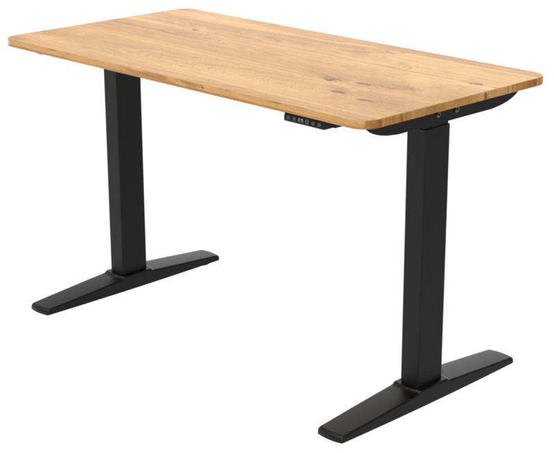 Carryhome E-Schreibtisch ULIX