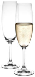 Novel Sektglas-Set 18-tlg.