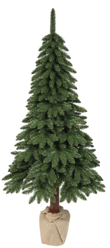 Everlands Tannenbaum Kiefer Tora