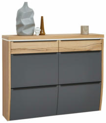 Dieter Knoll Hängeschuhschrank LED ARCO TREND