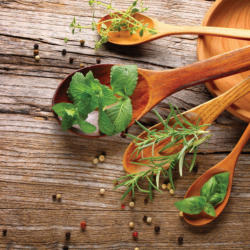 Euroart Herbs of Provence I