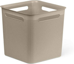 rotho Box BRISEN