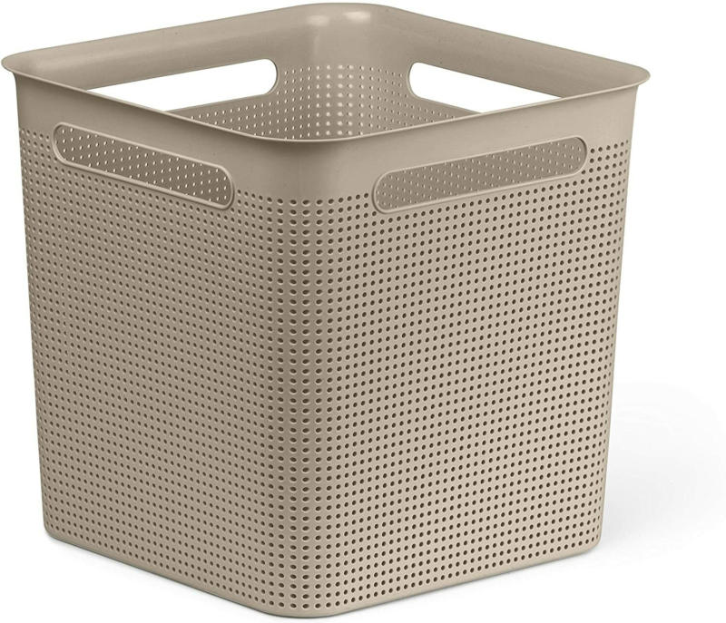 rotho Box BRISEN
