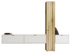 Dieter Knoll Wandkombination ISEO