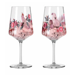 Ritzenhoff Sprizz Aperitifglas 2er-Set SOMMERSONETT