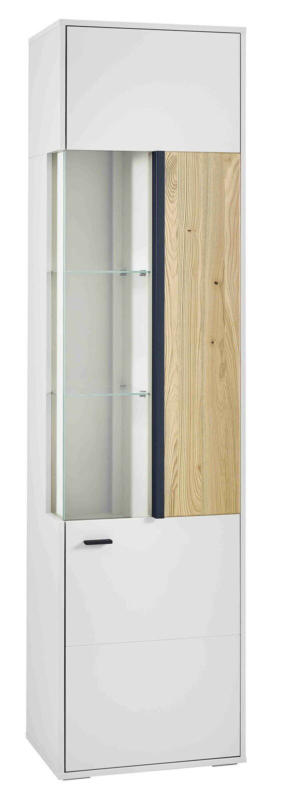 Hom´in Vitrine R GLASGOW