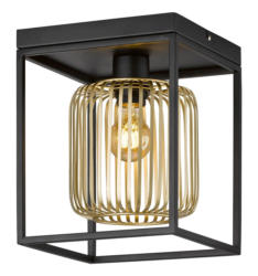 Fischer & Honsel Deckenleuchte CAYDO