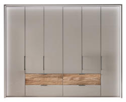 Dieter Knoll Funktionsschrank 6-trg. ELVAS