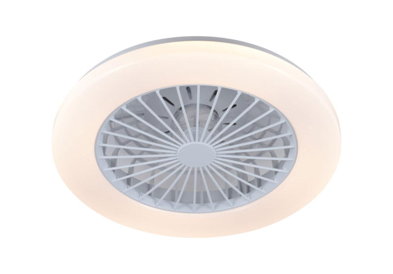Dieter Knoll DECKENVENTILATOR