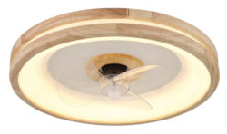 Globo Lighting Deckenventilator GATIAN