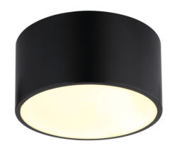 Globo Lighting Deckenleuchte BERTHOLD