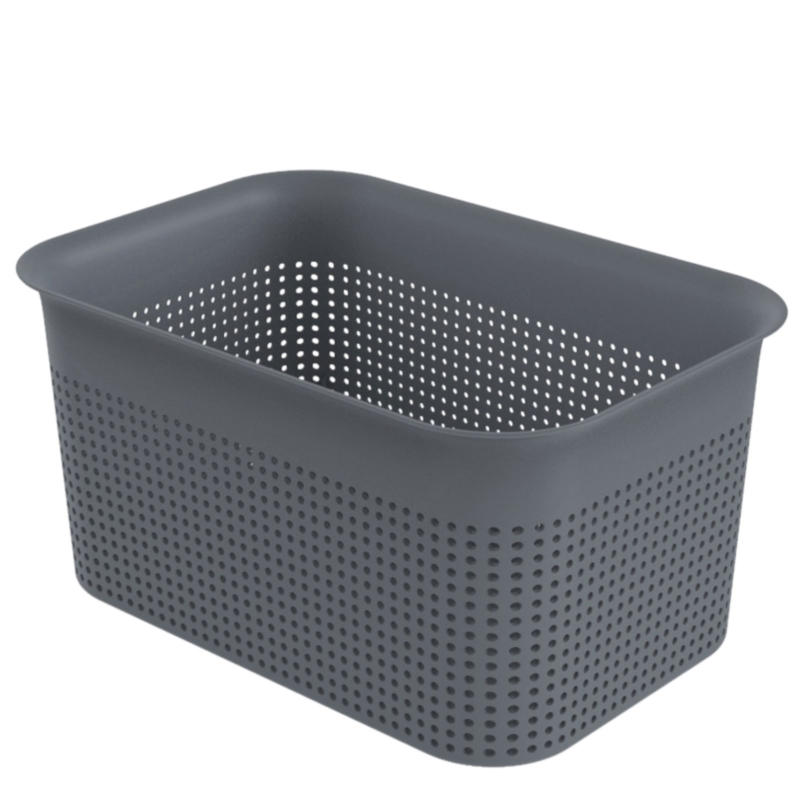 rotho Box BRISEN