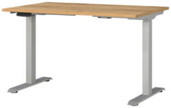 E-Serie E-Schreibtisch eSystem