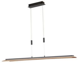 Fischer & Honsel Pendelleuchte SHINE-WOOD