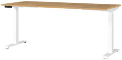 E-Serie E-Schreibtisch eSystem