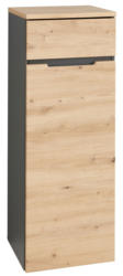 Voleo Aktenschrank niedrig/schmal DETROIT