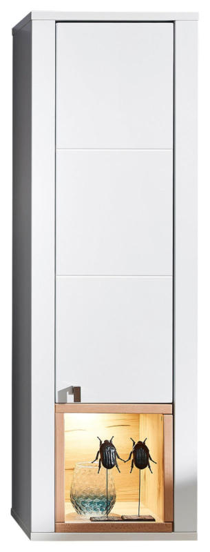 Z2 Hängevitrine SERPIO