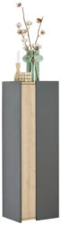 Stylife Midischrank PALIUM