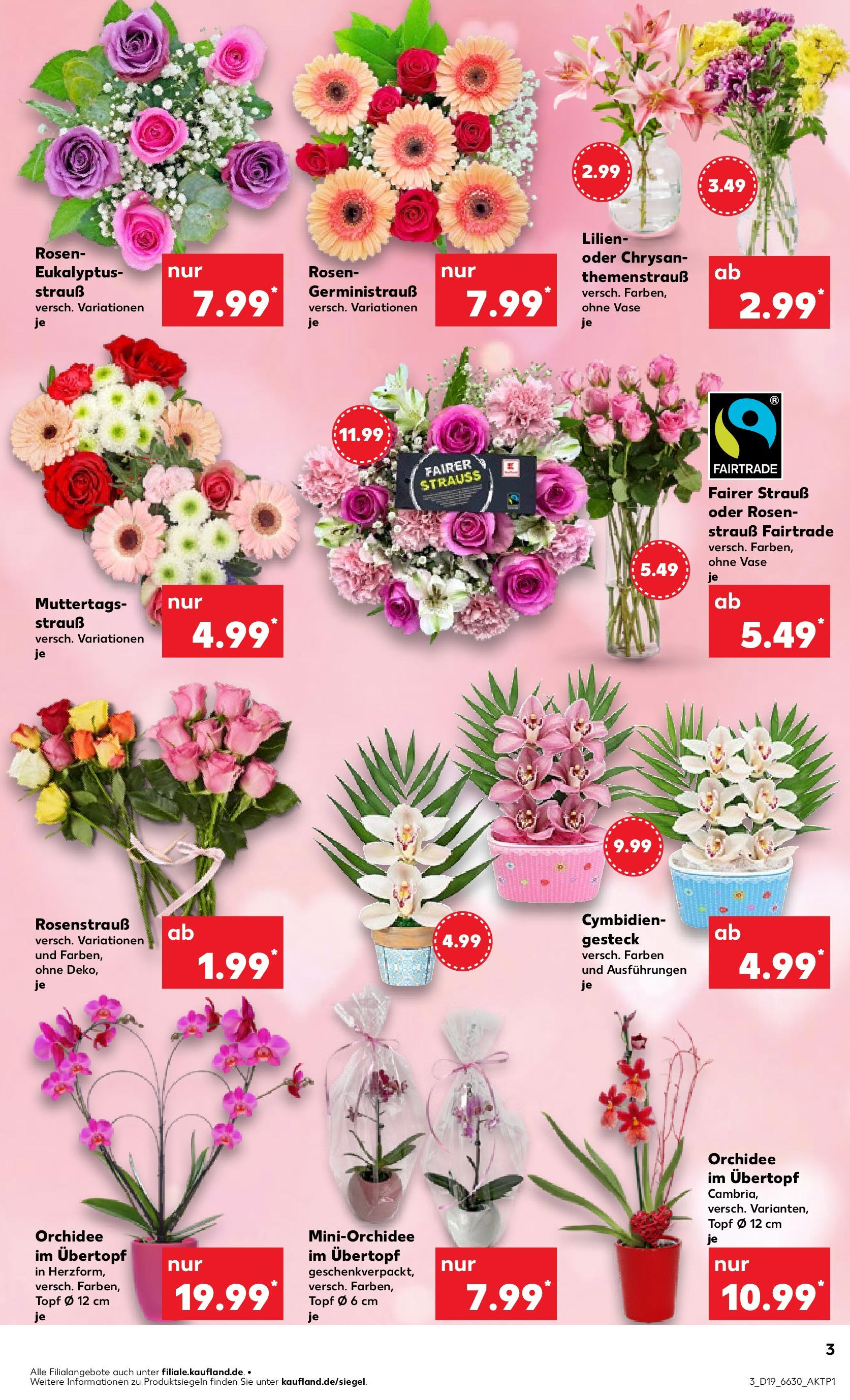Kaufland - Kaufland: Regio-Wochen (ab 07.05.2025) » Angebote Online | Seite: 9 | Produkte: Orchidee, Vase Kaufland - Kaufland: Regio-Wochen (ab 07.05.2025) » Angebote Online zum Blättern | Seite: 9 | Produkte: Orchidee, Vase