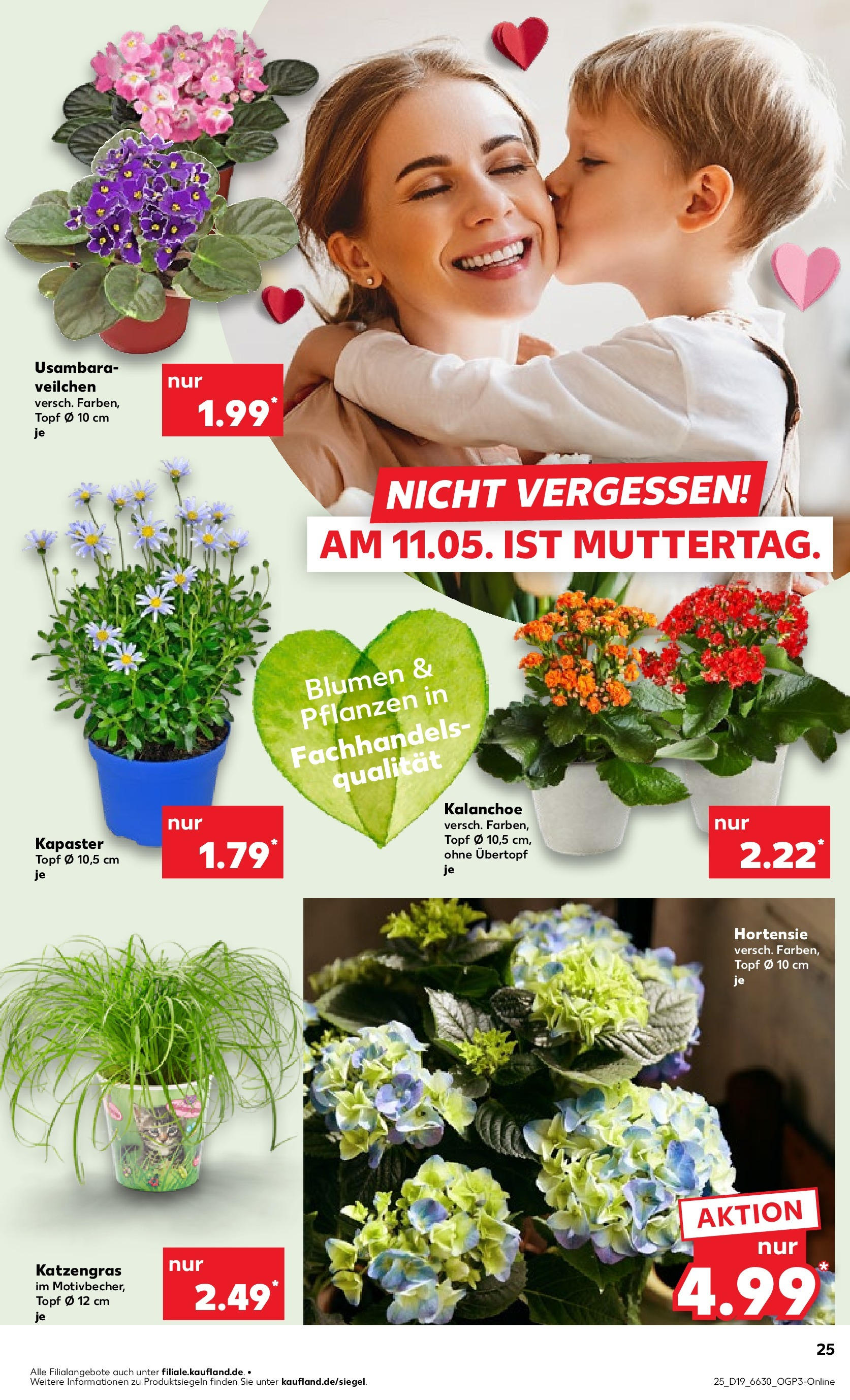 Kaufland - Kaufland: Regio-Wochen (ab 07.05.2025) » Angebote Online | Seite: 29 | Produkte: Hortensie, Blumen Kaufland - Kaufland: Regio-Wochen (ab 07.05.2025) » Angebote Online zum Blättern | Seite: 29 | Produkte: Hortensie, Blumen