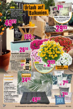 Hornbach Hornbach: Dein Wille verlegt deine Terrasse - bis 03.06.2025