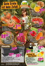 Hornbach Hornbach: Dein Wille verlegt deine Terrasse - bis 03.06.2025