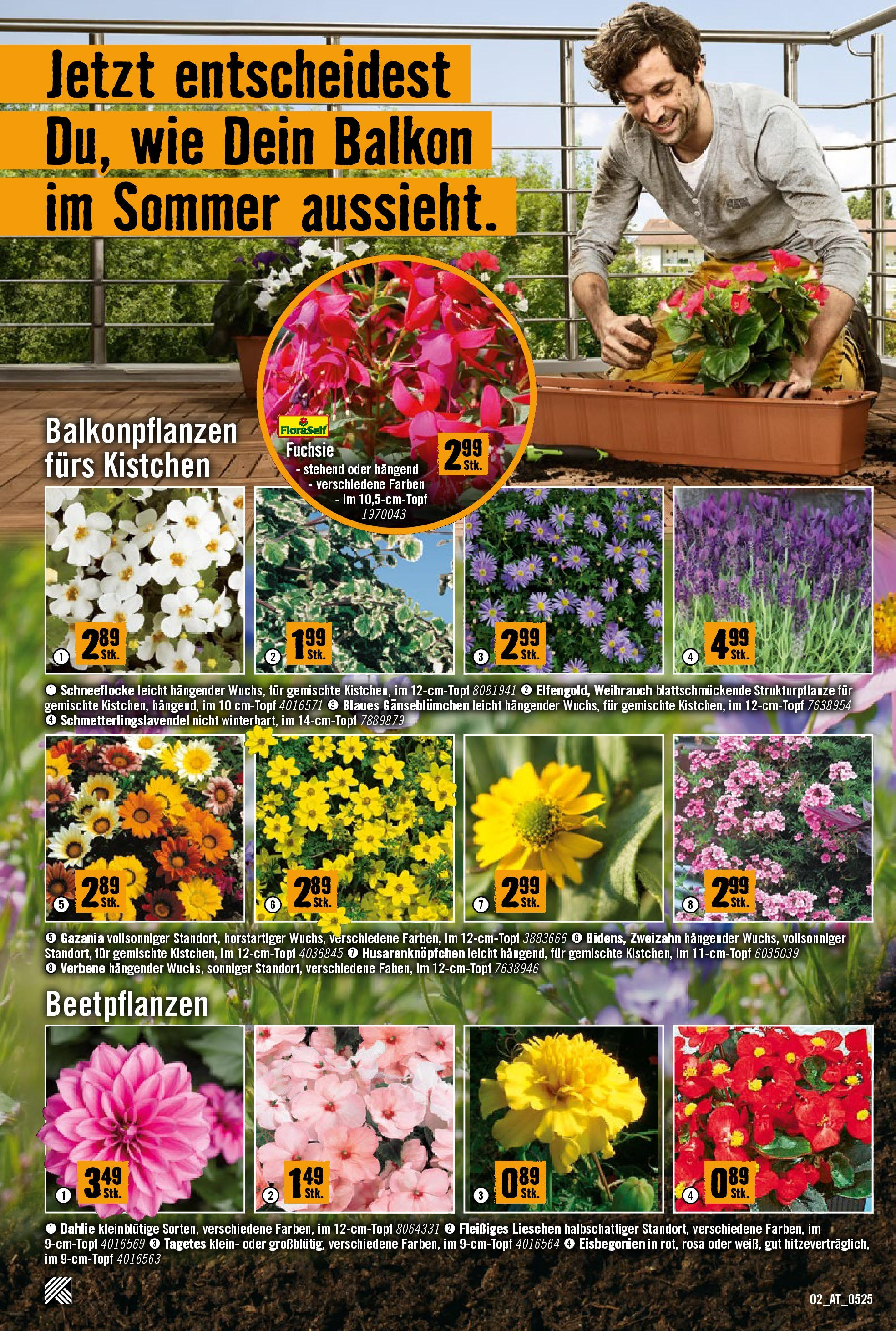Hornbach Flugblatt (07.05.2025) || Aktuelle Angebote | Seite: 2 Hornbach Flugblatt von 07.05.2025 - Aktuelle Angebote | Seite: 2